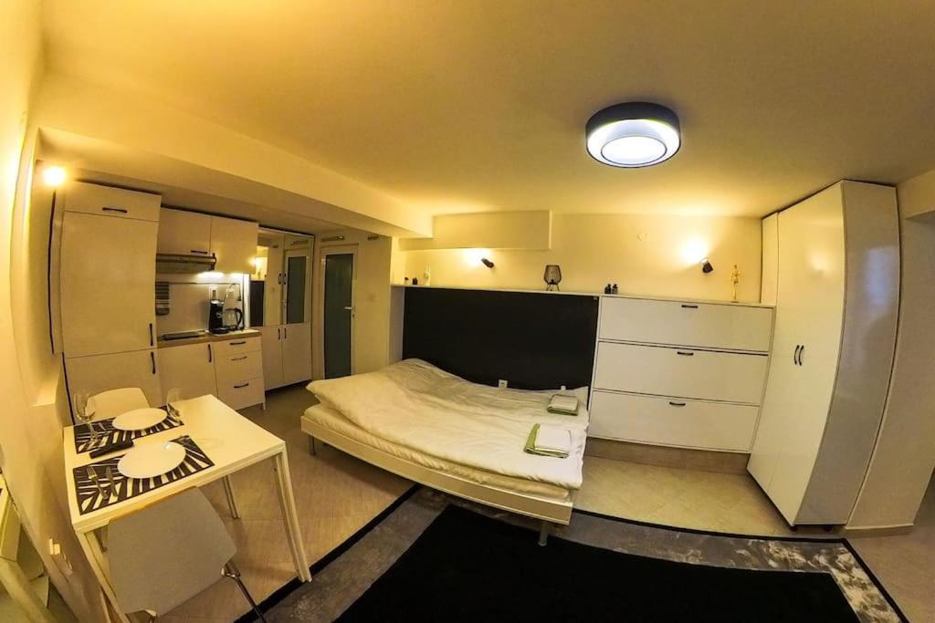 Studio With Courtyard Just Steps Away Vitosha Str Sofia Eksteriør billede